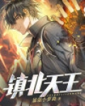 镇北天王电视剧免费播放