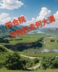 四合院傻柱逆袭了生活的累