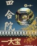 四合院一大宝儿列表