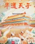 我的长枪依在半道天子