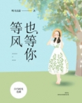 等风也等你的上一句