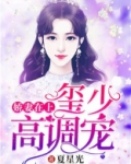 娇妻在上季少,请轻撩