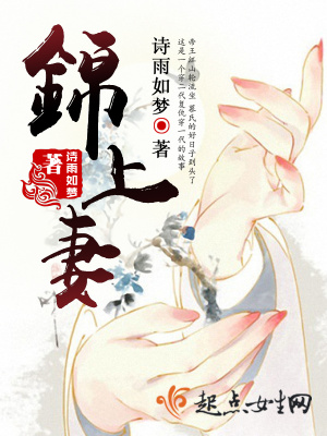 锦上妻小说