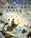 被挖重瞳后我雕刻出齐天大圣岚意