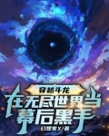 穿越斗龙:在无尽世界当幕后黑手的小说