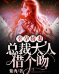幸孕娇妻:总裁大人借个吻
