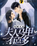 闪婚丑妻,夫人马甲有点多