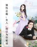 狼性总裁别乱来全文免费阅读