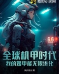 全球机甲时代:我的姬甲能无限进化 笔趣
