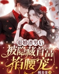 男子被退婚后逆袭的小说