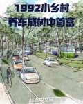 1992小乡村，养车成村中首富