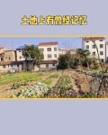 土地上的