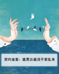 腹黑总裁契约妻 短剧