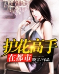 护花高手在都市女主角有几个