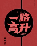一路高升小说