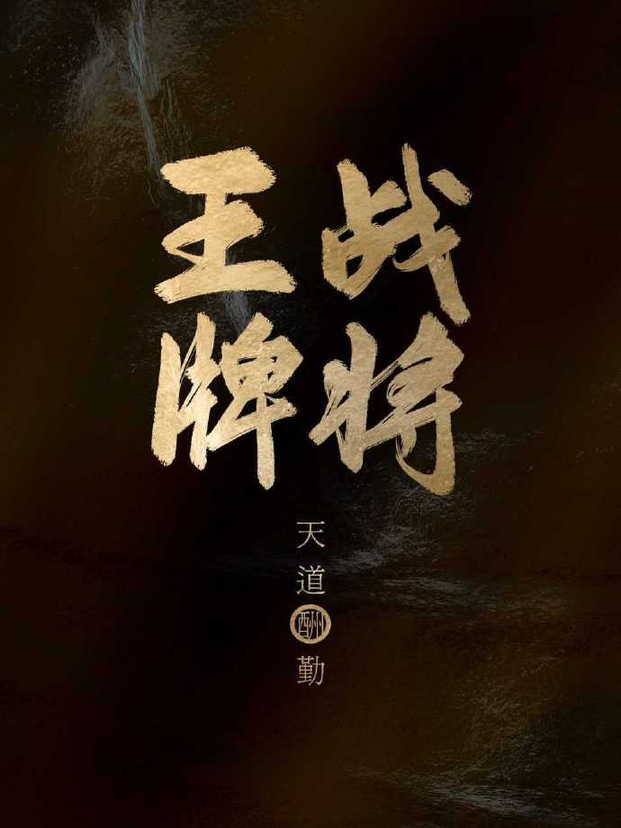 王牌战将 1999美国电影解说