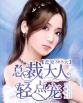 惹爱365天,总裁大人轻点宠全文免费阅读