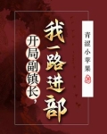 开局副镇长:我一路进部