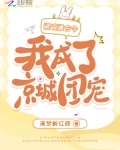 瓷碗通古今,我成了京城团宠