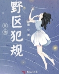 在他野区犯规小说