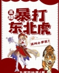 东北虎揍什么意思