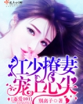 小说江少追妻路太难