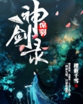 惊羽神剑录