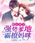 暖心双宝:强势爹地霸撩妈咪 惊鸿F