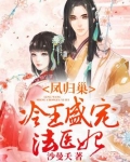 凤归巢:冷王盛宠法医妃
