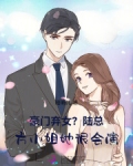 贺方小说主角