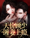 顾少的天价娇妻