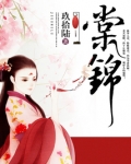 棠锦