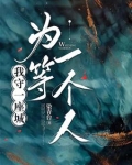 守一坐城等一个你小说