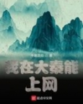 我在大秦能上网小说