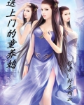 小说送上门的侍女