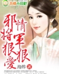 邪情将军狠狠爱小说