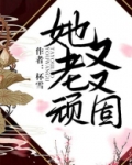 她又老又顽固小说