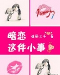 暗恋这件小事(高干)