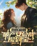 傻妻如蜜总裁宠上天全文免费阅读霸道