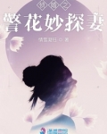 警探花 末路