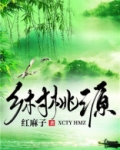 桃源小说
