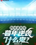 踢球还踢球