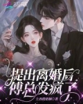 傅总夫人同意离婚了玩脱了