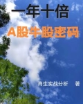每年10大牛股