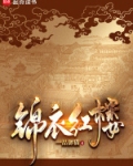 锦衣红楼txt