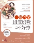 一胎六宝:团宠妈咪不好撩