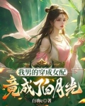 鼎炉流开局小说