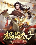 极品太子妃