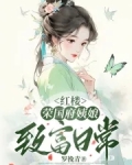 红楼荣国府姨娘致富日常完结文