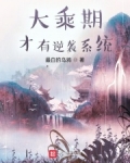 大乘期才有逆袭系统
